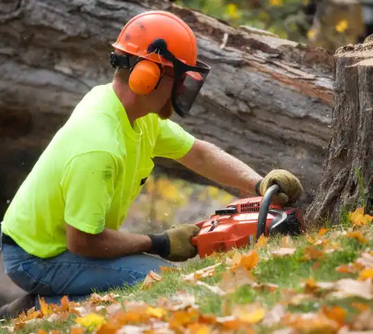 tree services Bardonia